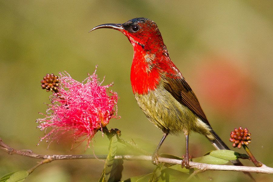 about-us-safari-tour-office