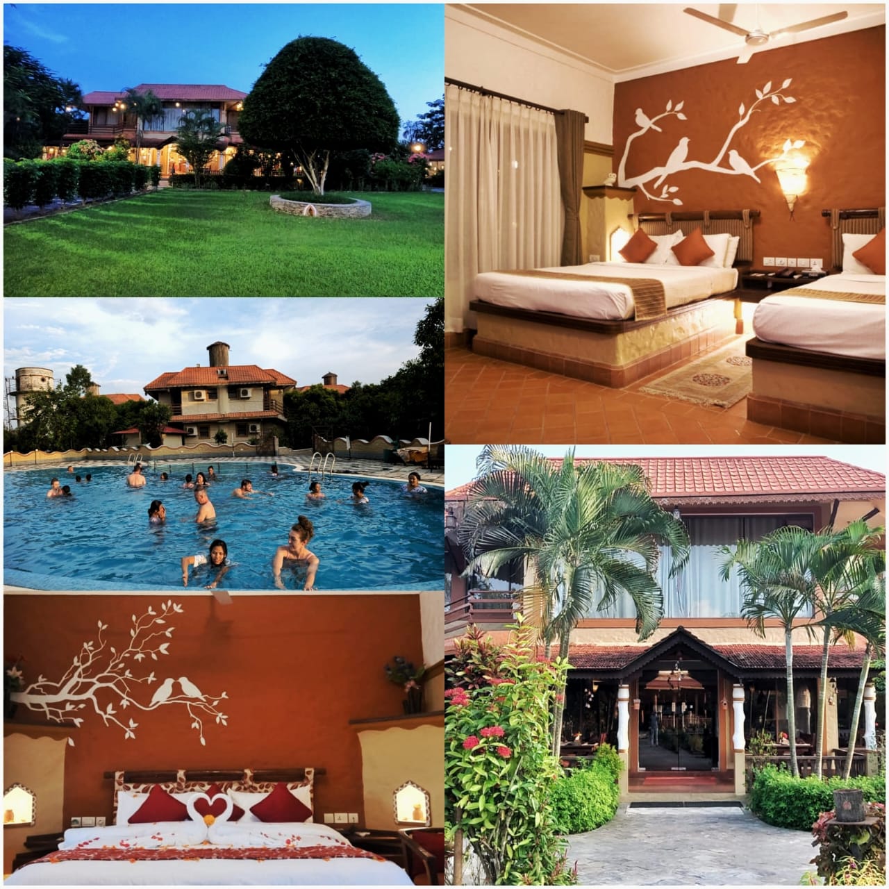 accommodation-sauraha