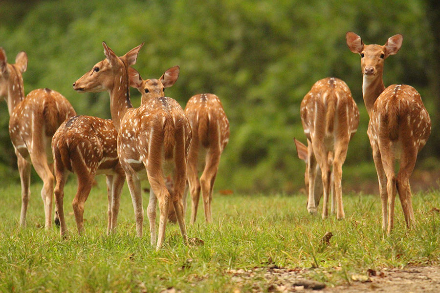 bicycle-tour-on-20000-lake